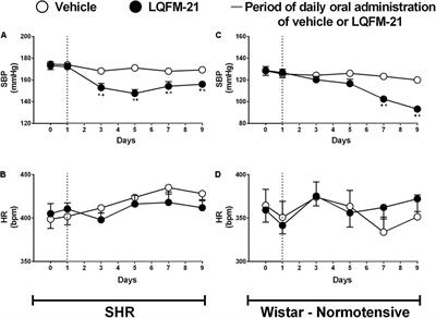 The Newly Synthesized Pyrazole Derivative 5-(1-(3 Fluorophenyl)-1H-Pyrazol-4-yl)-2H-Tetrazole Reduces Blood Pressure of Spontaneously Hypertensive Rats via NO/cGMO Pathway